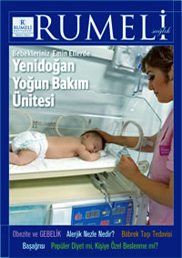 Sayı 1