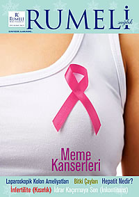 Sayı8